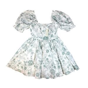 Francesca’s Sage Floral Puff Sleeve Babydoll Dress NWT - S